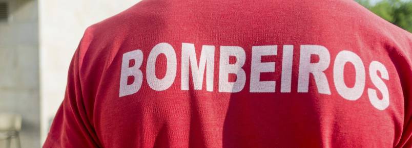 Cães sem água nem comida resgatados pelos bombeiros