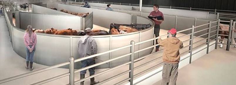 Aeroporto JFK terá o primeiro terminal para pets
