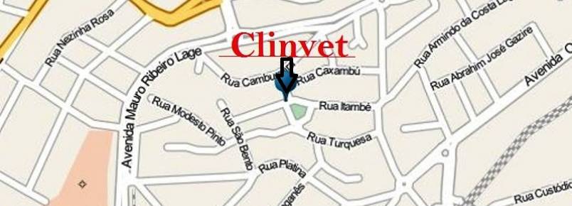Veja como é fácil chegar à Clinvet.