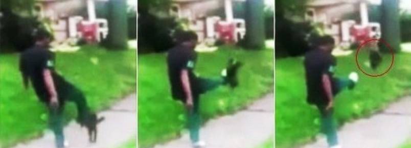Jovem chuta gato e acaba preso após vídeo