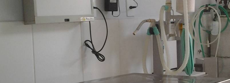 Clinvet: Uma clínica preparada para atender seu amiguinho de estimação