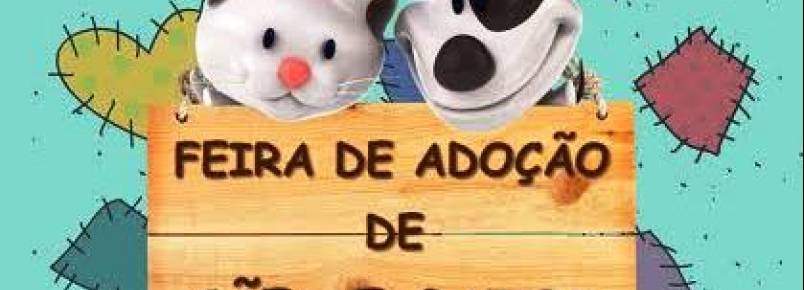 ONG realiza feira de adoção de animais todos os domingos em São Paulo