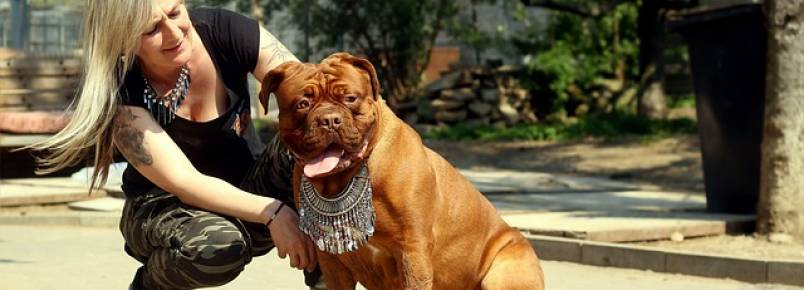 Donos que não limpam o cocô dos seus pets serão rastreados e multados