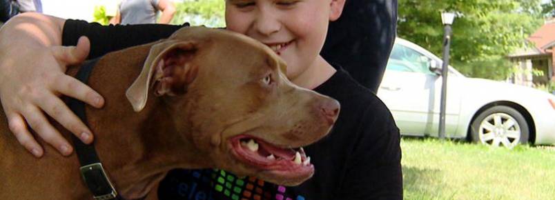 Pitbull acorda menino surdo para salvá-lo de incêndio em casa