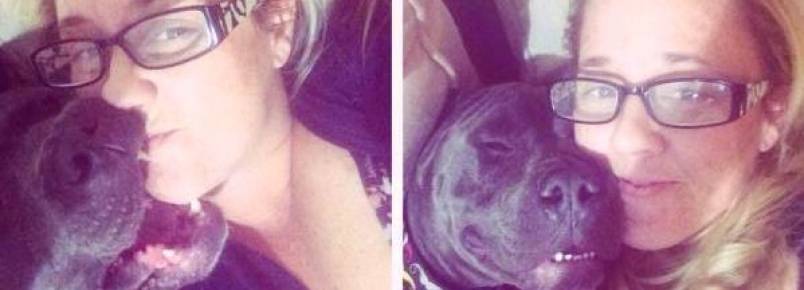 Filhote de Pit Bull é encontrado abandonado na Califórnia e seu destino muda completamente