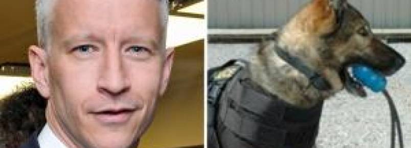 Âncora da CNN doa coletes à prova de balas para cachorros de departamento de polícia da Virgínia