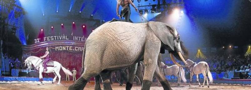 Varsvia probe circos com animais