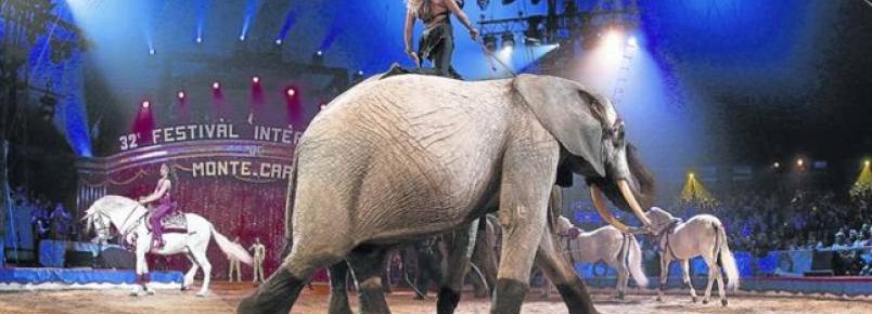 Varsóvia proíbe circos com animais