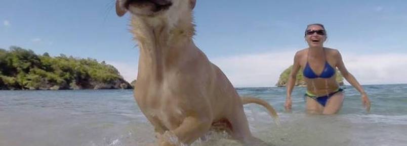 Turista alemã adota cachorrinho de rua nas Filipinas