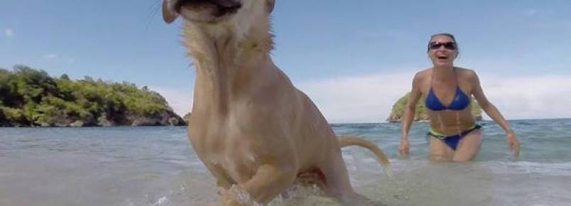 Turista alem adota cachorrinho de rua nas Filipinas