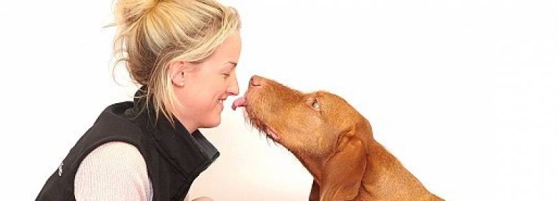 Cães conseguem perceber como está o nosso humor