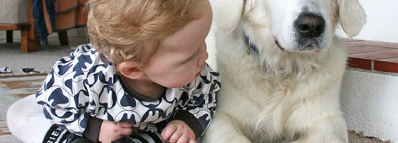 Chegada de um novo filho: como manter um bom convívio entre cães e bebês