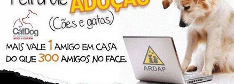 Nova feira de adoção de animais da CatDog será realizada neste sábado