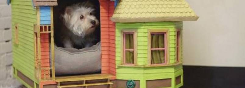 Fã de “Up-Altas Aventuras” ganha réplica da casa de Carl Fredricksen para o seu cachorro