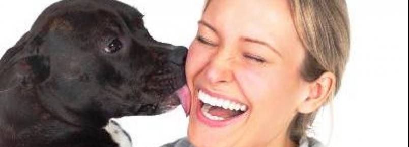 UFSCar realiza estudo da comunicação entre os cães e seus donos
