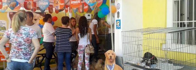 Mais de 20 cães conseguiram novos lares durante mais uma feira de adoção