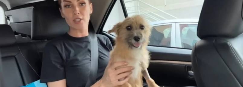 Ana Hickmann adota cachorro que resgatou em rodovia: ‘Não resisti’