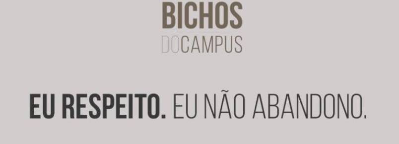 Projeto visa cuidados e adoo de animais abandonados