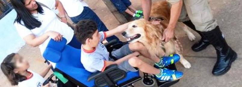 Grupamento de Bombeiros desenvolve Projeto Social de Terapia com Cães para escolas e Apae