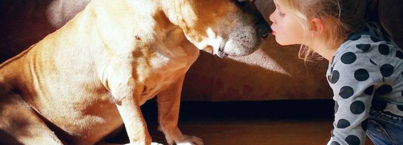 Fotógrafo registra todos os momentos da amizade da filha com seu cão