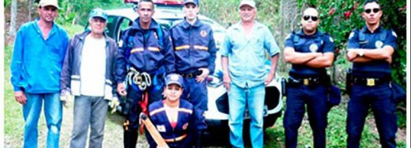 Araçariguama - Defesa Civil de Araçariguama resgata cachorro de árvore