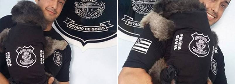 Delegacia em Goiás adota cadela de rua