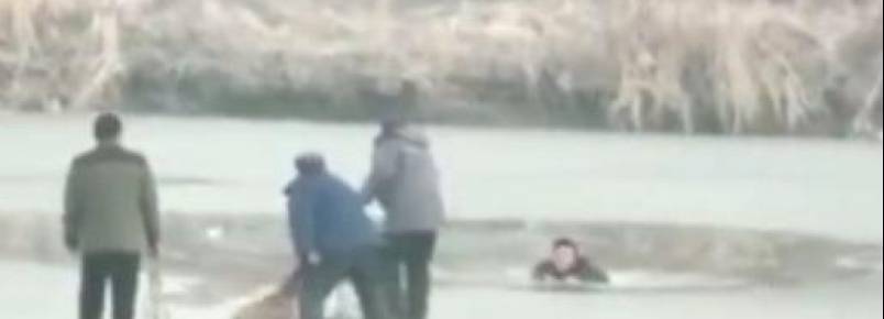 Homem arrisca a prpria vida para salvar cachorro que caiu em lago congelado