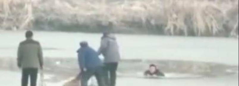Homem arrisca a própria vida para salvar cachorro que caiu em lago congelado