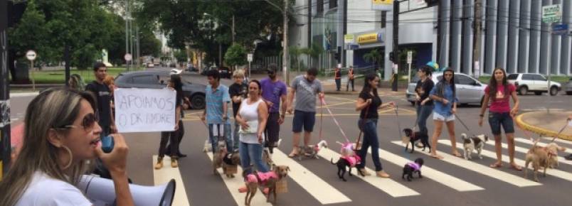 Donos de cães fazem manifesto de apoio a médico veterinário autuado