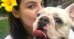 Após sumir do local onde estava hospedado, cachorrinho de Sthefany Brito é encontrado morto