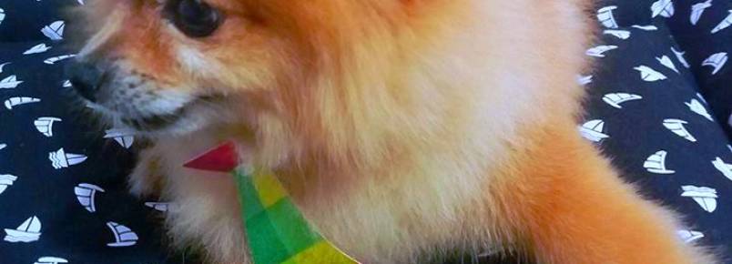 Nicodemos esteve na Clinvet para ficar no estilo
