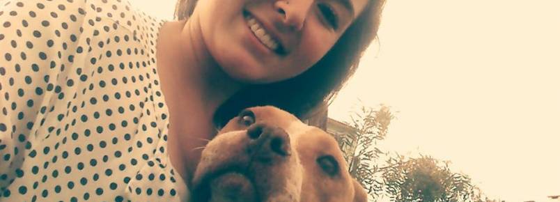 Luna: Uma guerreira e amavável Pitibull