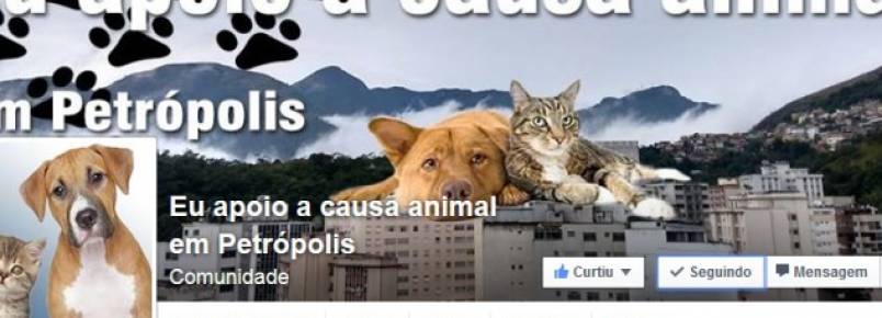 Defensores da causa animal em Petrpolis criam pgina no facebook