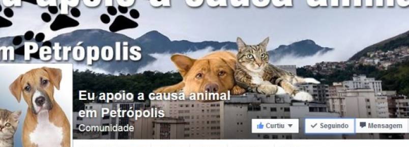 Defensores da causa animal em Petrópolis criam página no facebook