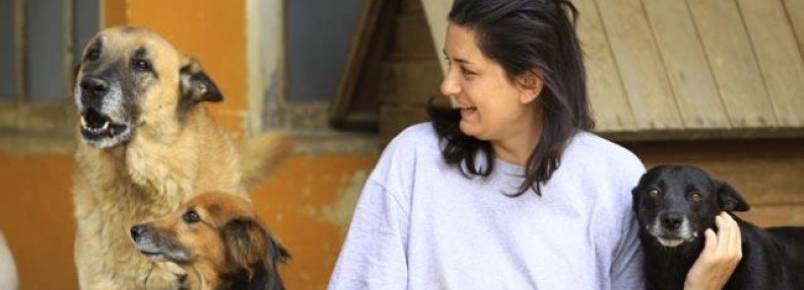 No Dia do Amigo, donos de pets celebram