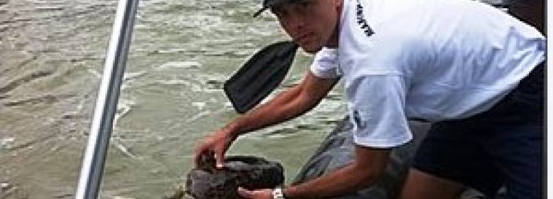 Marinha apoia ao ambiental de resgate de tartarugas