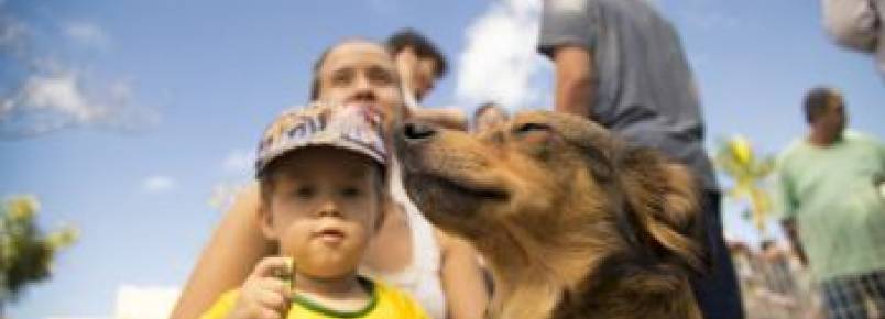 Vitória conta com projeto voltado para a saúde e o bem-estar animal