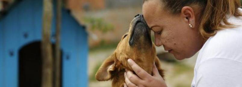 Vigilante se torna protetora dos animais em Cachoeirinha