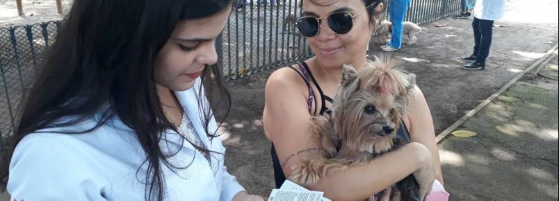 Vacinação de cães e gatos contra a raiva, no Recife, começa neste sábado (24)