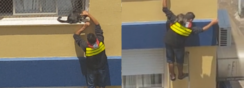 Motoboy arrisca a própria vida para resgatar gato pendurado em prédio.