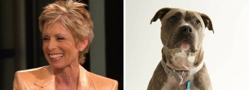 Apresentadora americana diz em programa que todos os cães da raça Pit bull deveriam ser mortos