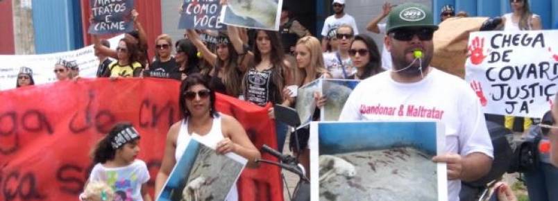 Ativistas fazem protesto em defesa dos direitos animais