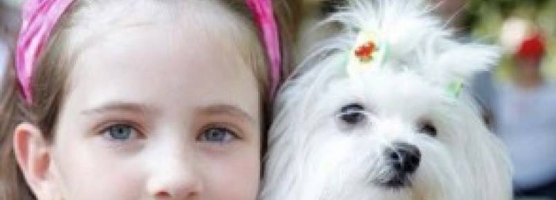 Conscientização contra maus tratos aos animais tem apoio dos Colégios Cata-Vento e IPEC