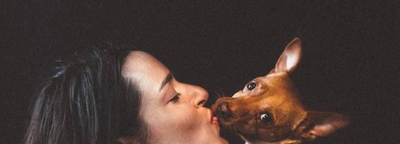 Cientistas acreditam que beijar cachorro faz bem à saúde dos humanos