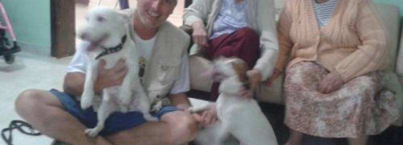 Conheçam a dupla Kiko e Toby, dois cães que trabalham como terapeutas em Itu