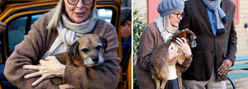 Morgan Freeman e Diane Keaton têm a companhia de uma cachorra em novo filme