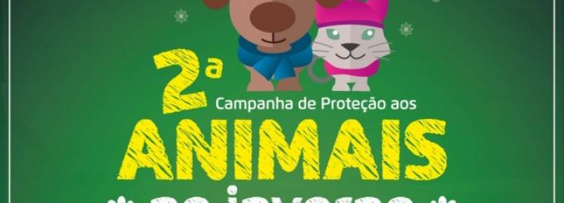 Blumenau ter campanha para arrecadar itens que protejam animais no inverno