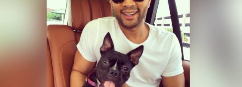 Músico americano John Legend adota cachorra de três pernas