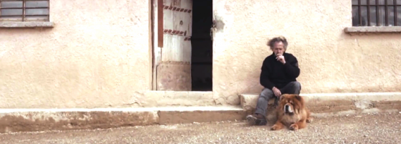 Cachorro estrela novo clip de Chrissie Hynde.