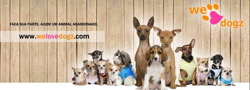 Protetores resgatam cão que atacou menino; animal estava preso e ia ser linchado